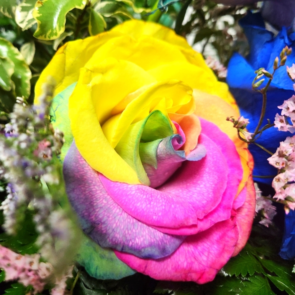 Meet your Posher, Nikki